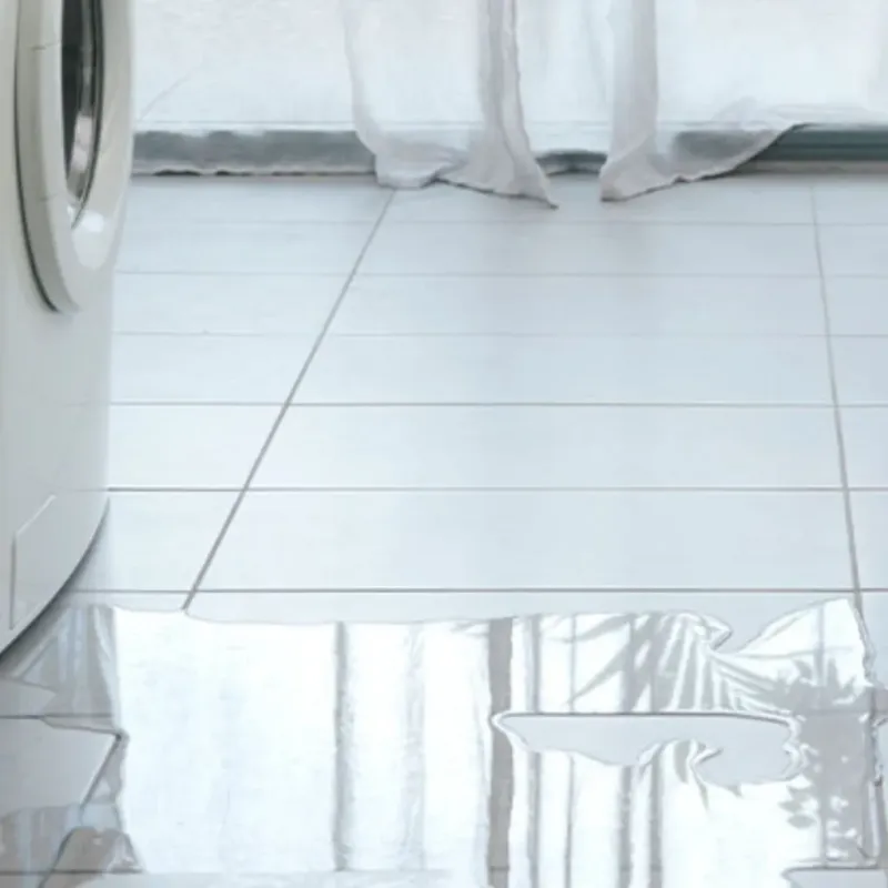Appliance Leak Cleanup in West, TX