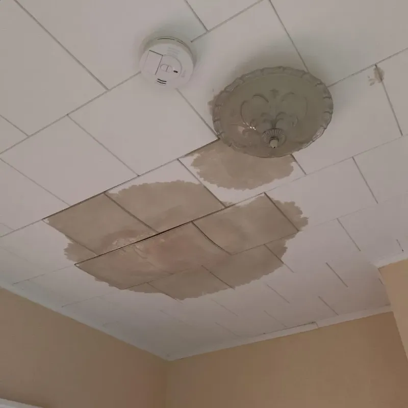 Ceiling Water Damage Repair in West, TX