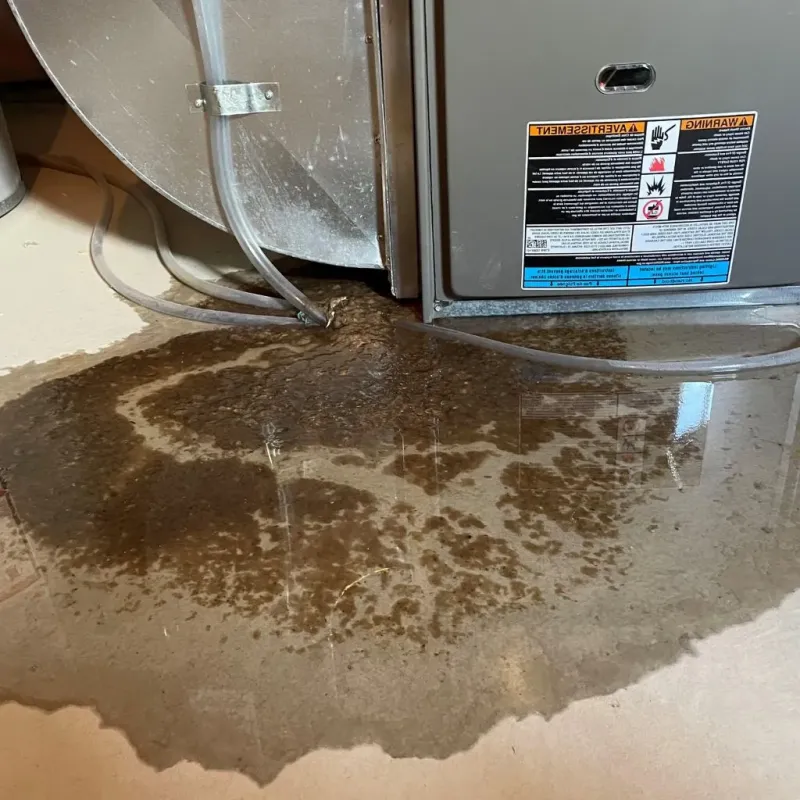 Pipe Burst and Leak Restoration in West, TX