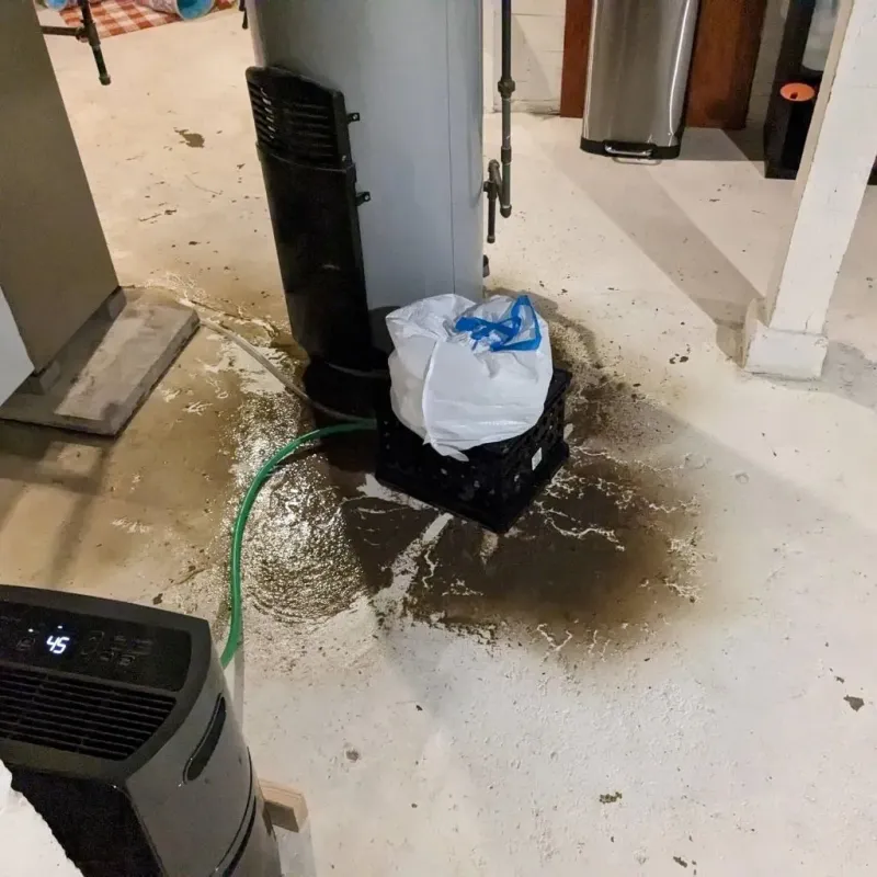 Sewage Backup Cleanup Service in West, TX